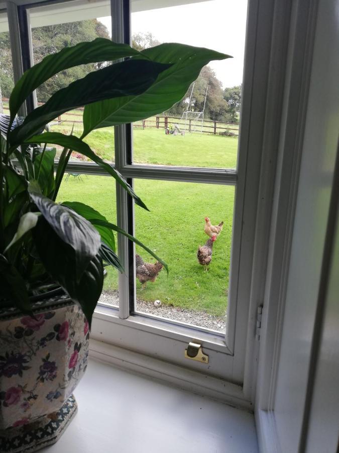 Next Door At Broomfield House Midleton Eksteriør billede